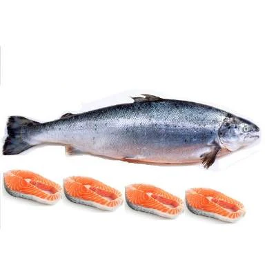 Nigerian Salmon